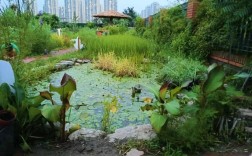 池塘鱼鸭混养，如何平衡共生与效益？