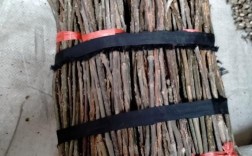 金蝉卵枝孵化技术图片能直观展示哪些关键步骤？孵化率如何通过细节把控提升？