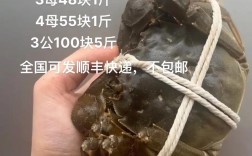 河蟹最新价格多少钱一斤？