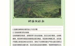 花椒栽培管理有哪些关键技术要点？