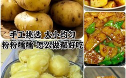 云南2025年土豆价格会涨还是跌？