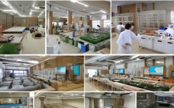 呼市兔子养殖技术，呼市兔子养殖技术培训