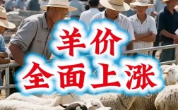 今年羊价缘何持续低迷？