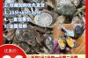 盘锦河蟹最新价格多少钱一斤？