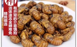 2025年知了猴皮价格