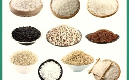 优良品种粮食有何核心特点？