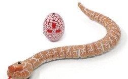 大王蛇无冬眠养殖技术可行吗？