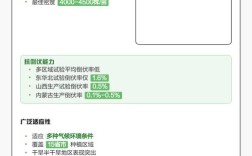 909玉米品种有哪些特点？