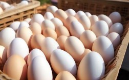 回龙观鸡蛋价格近期有何波动？