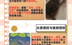 甲鱼养殖技术要点有哪些？