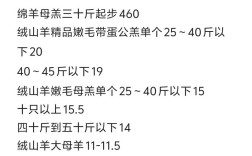 2025年羊肉最新价格会涨还是会跌？