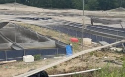 蚂蟥人工养殖技术视频怎么学？