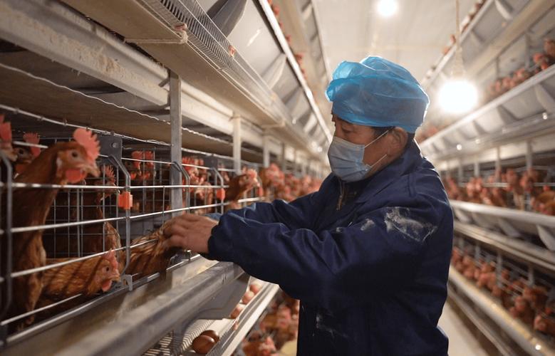 养殖技术视频哪里找？-图1