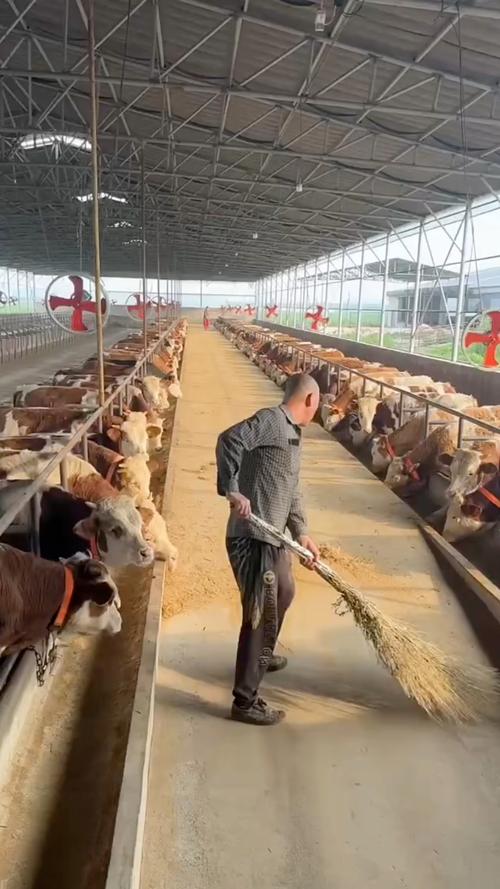 养殖技术视频哪里找？-图2