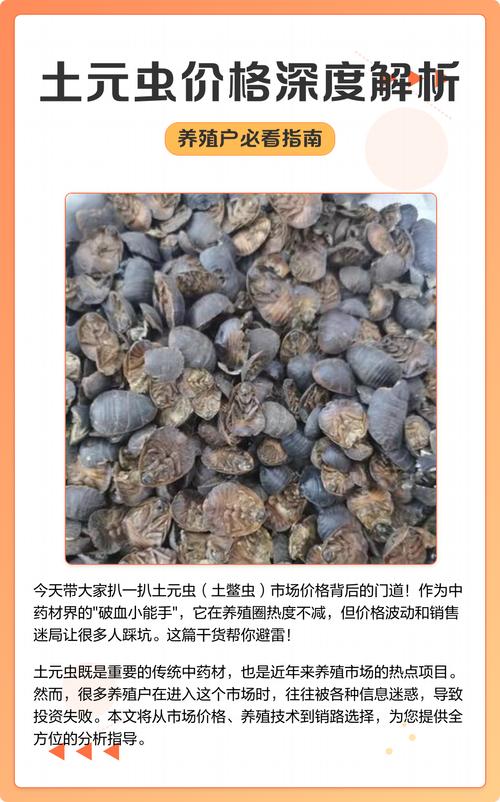 土元现在市场价格多少一斤?-图2 土元现在市场价格多少一斤?-图2