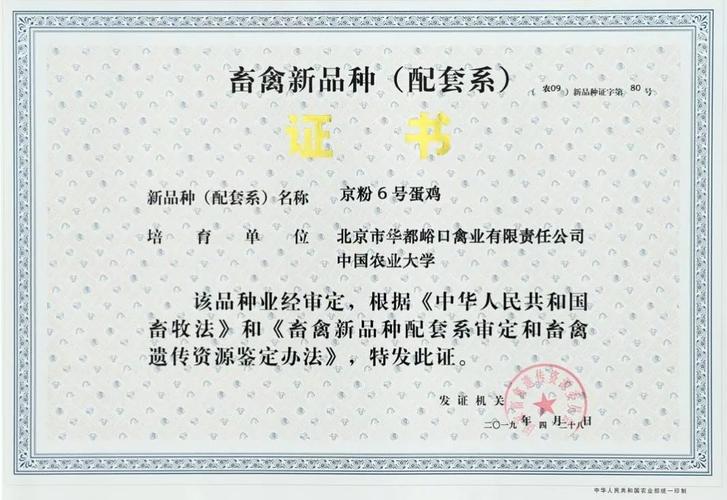 华康一号鳜鱼新品种有何优势?-图2 华康一号鳜鱼新品种有何优势?-图2