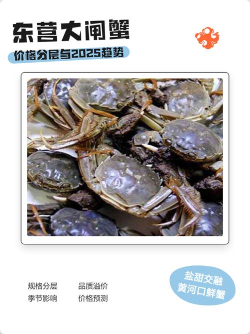 2025螃蟹价格会涨还是跌?-图2 2025螃蟹价格会涨还是跌?-图2