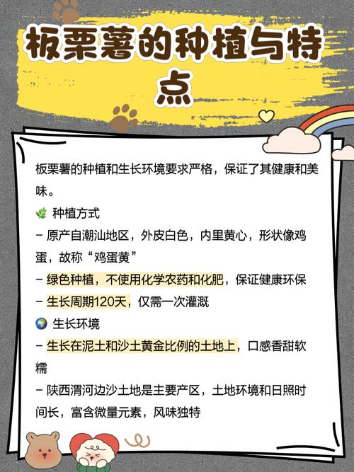 板栗种植技术如何提升经济效益？-图2