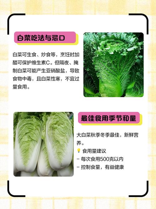 小白菜到底有多少个品种?-图2 小白菜到底有多少个品种?-图2