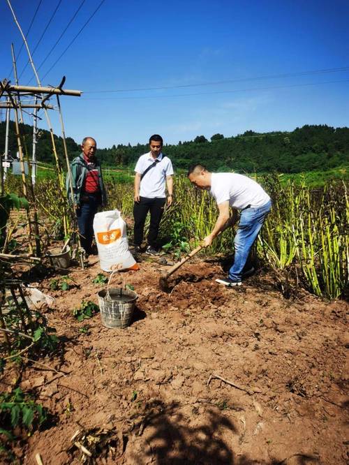 精选实用致富技术四百项，哪些能真正致富？-图2