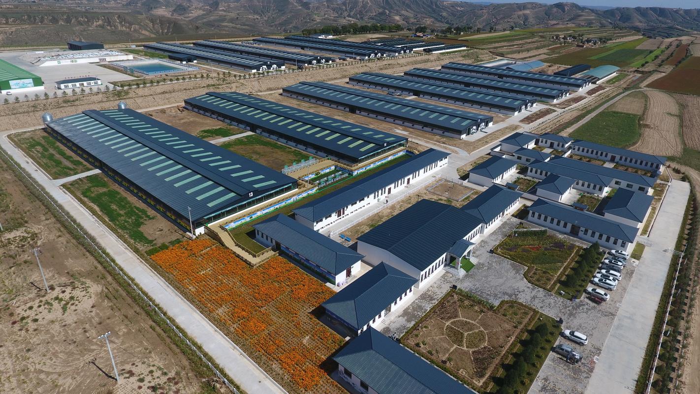 甘肃庆阳2025山羊价格会涨还是跌?-图3 甘肃庆阳2025山羊价格会涨还是跌?-图3