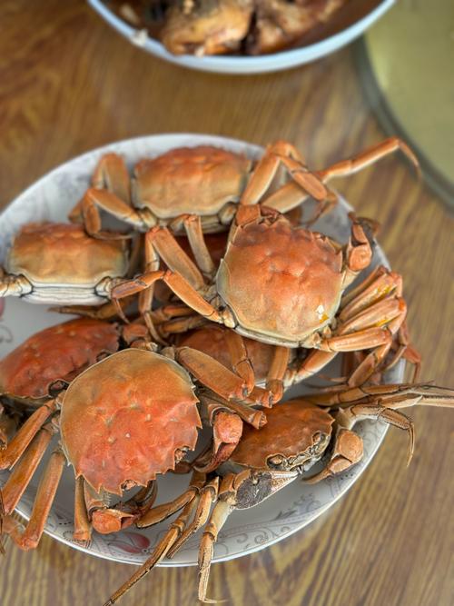 八月北方螃蟹有哪些品种上市？-图1