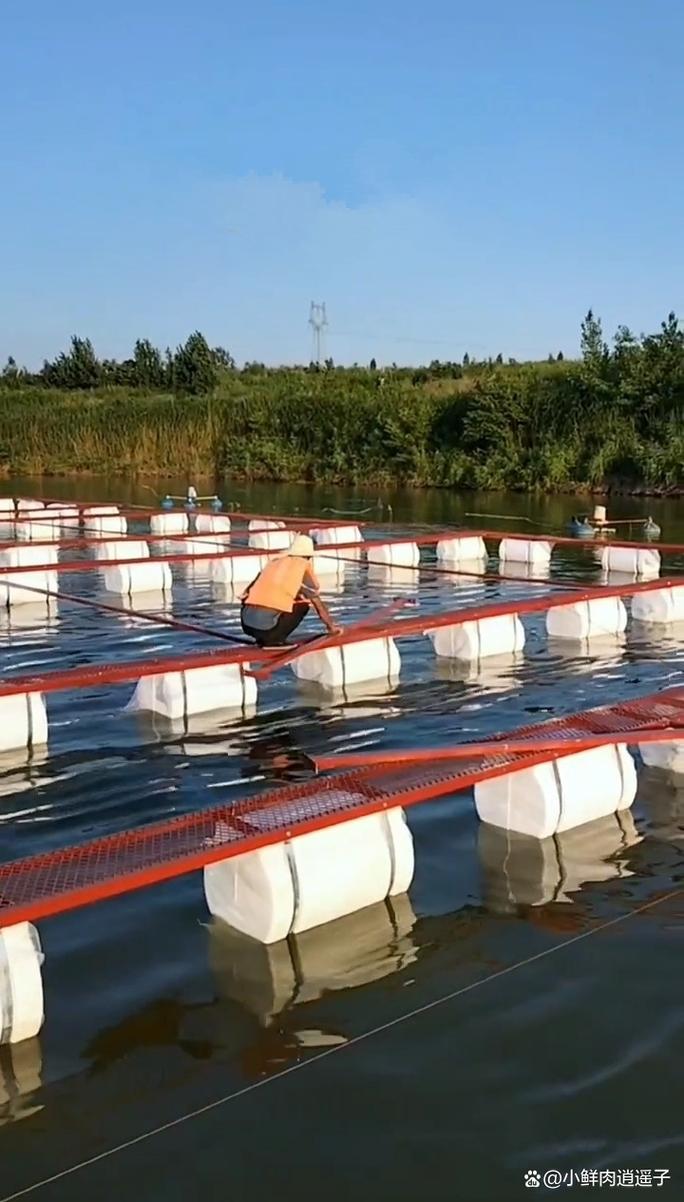 网箱养殖技术视频，看了就能学会吗？-图2