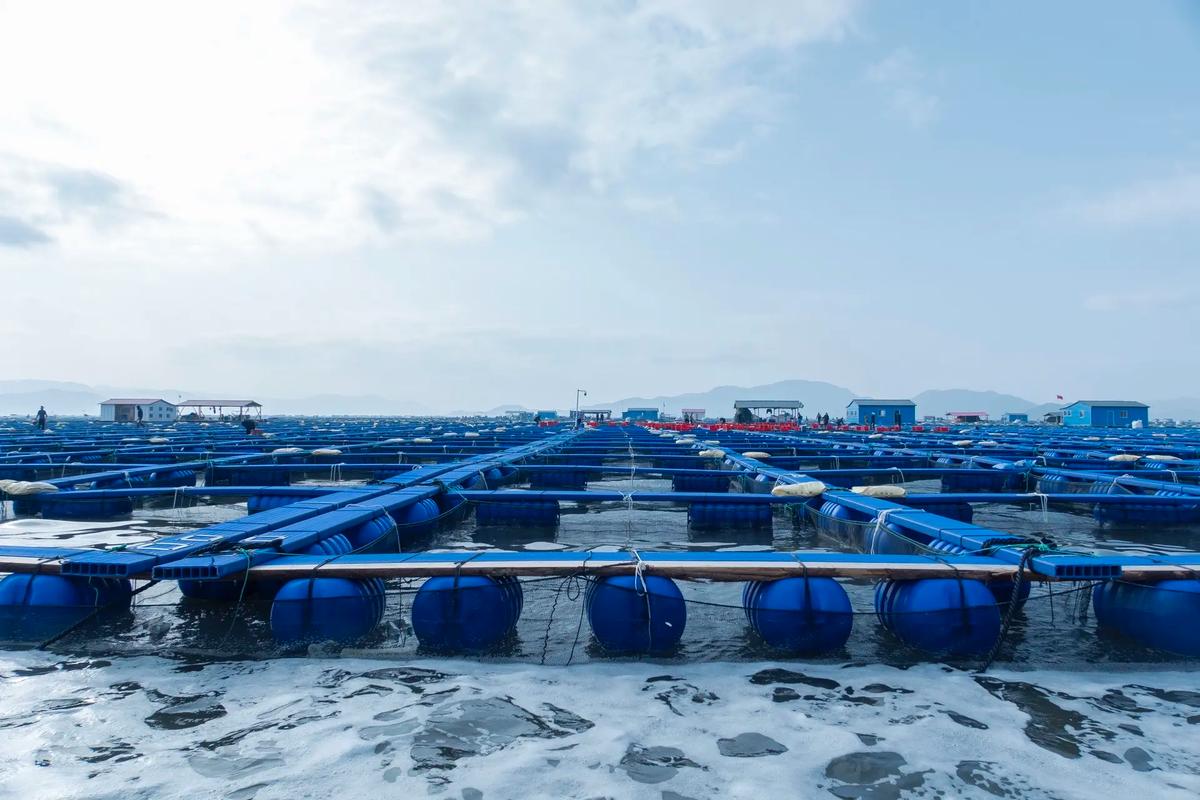 网箱养殖技术视频，看了就能学会吗？-图1