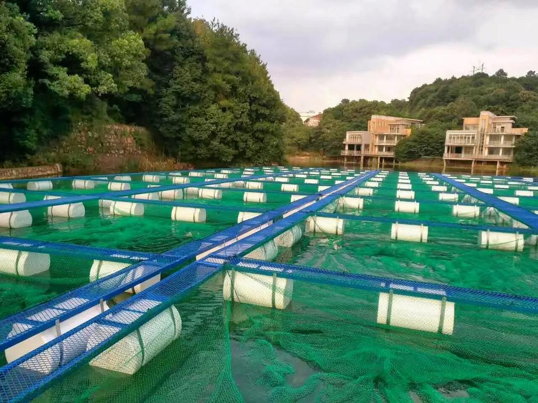 网箱养殖技术视频，看了就能学会吗？-图3