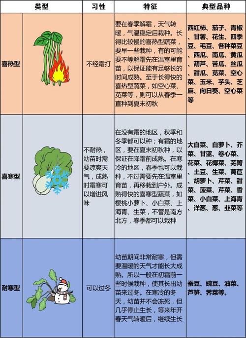 十大抗寒蔬菜品种，哪种最适合你种植？-图3