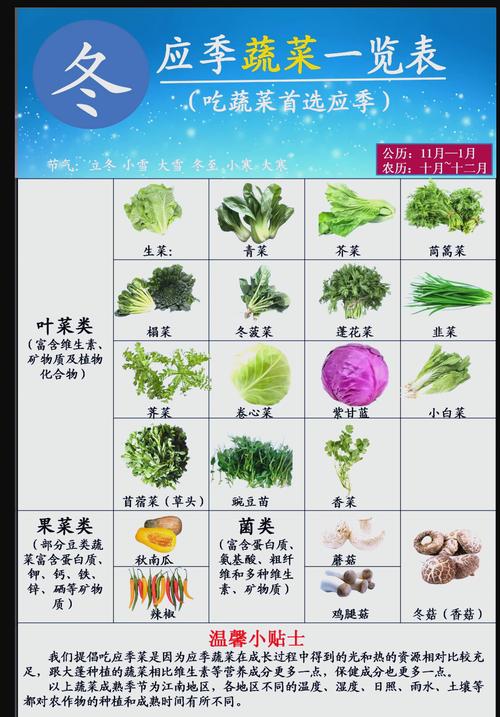 十大抗寒蔬菜品种，哪种最适合你种植？-图1