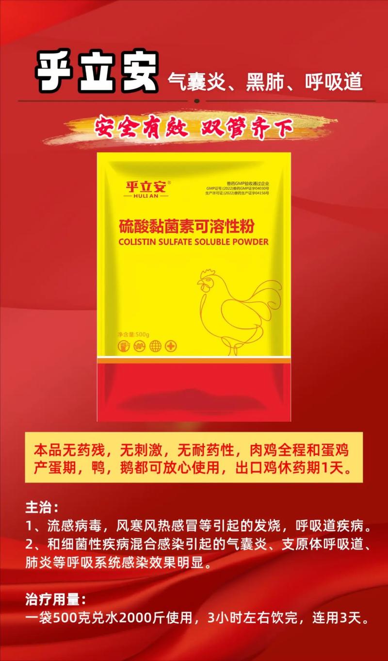 肉鸡养殖技术及疾病治疗如何高效提质？-图2