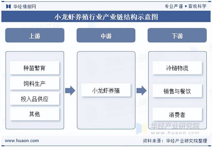 2025小龙虾养殖技术，如何实现高效低成本？-图2