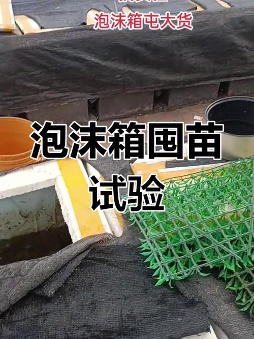 黄鳝箱式养殖新技术箱式有何优势？-图1