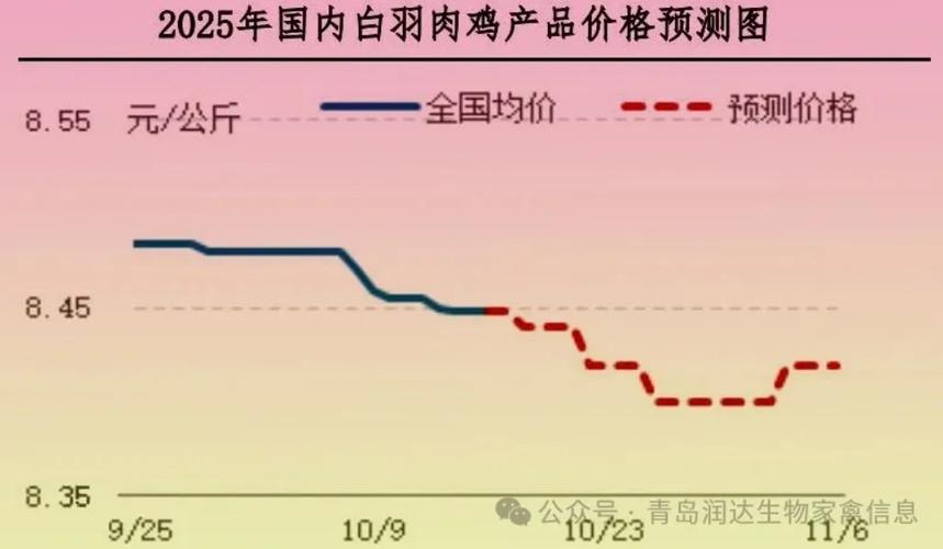 2025肉鸡毛鸡价格行情会如何？-图2
