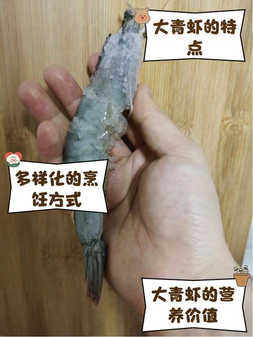 微流水养殖青虾高产技术，关键点在哪？-图3