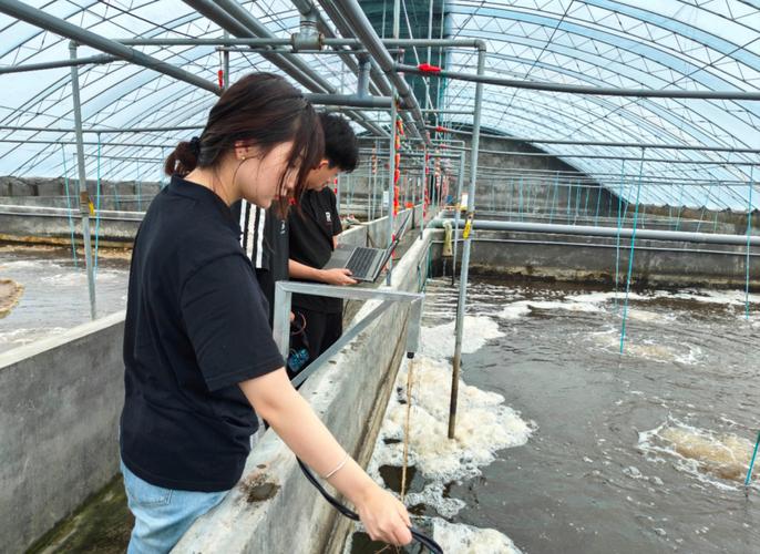 微流水养殖青虾高产技术，关键点在哪？-图2