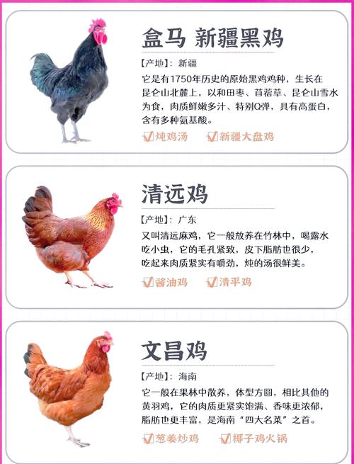 鸡的新品种的形成是由于-图2