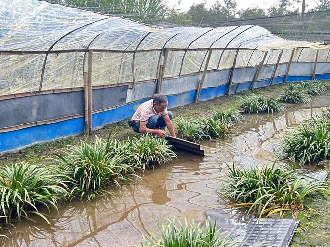 重庆蟾蜍养殖新技术有哪些核心突破？-图3
