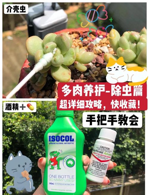 哪些多肉品种能避开蚧壳虫侵扰？-图1