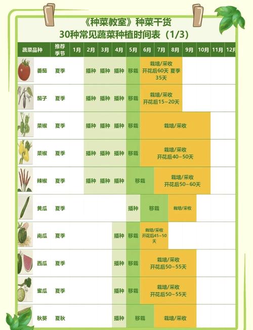 短周期农业新品种，如何实现高效与优质？-图1