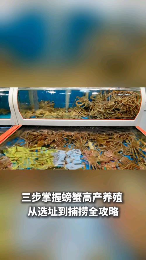 野生蝎子养殖技术难点有哪些？-图2