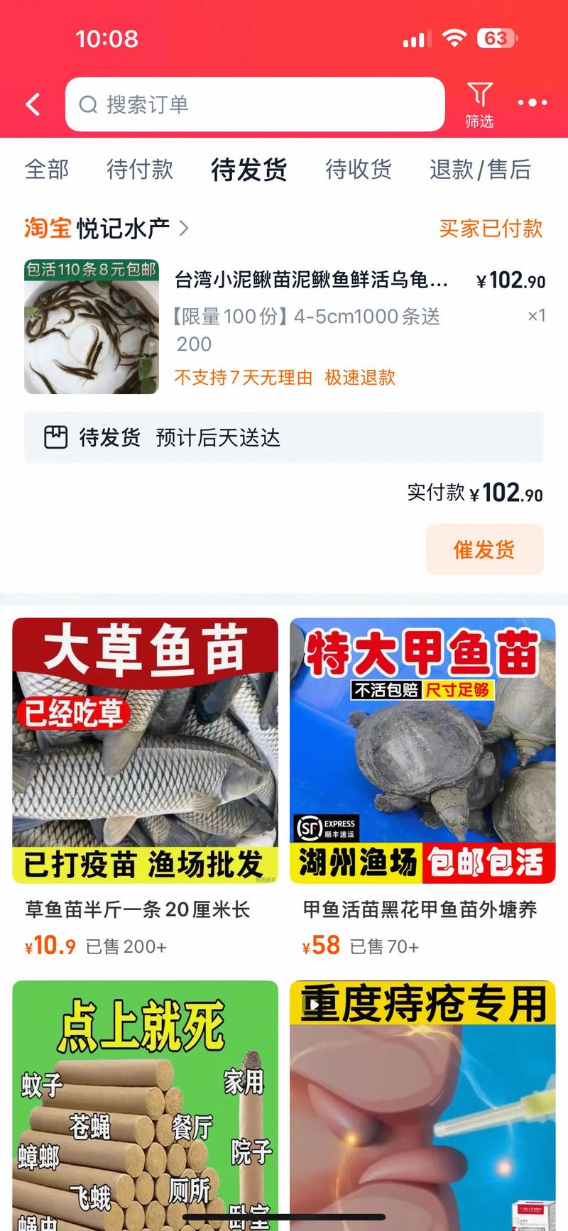 2025年泥鳅批发价会涨还是跌？-图2