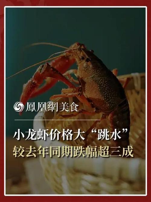 2025白沙洲小龙虾价格会涨还是跌？-图2