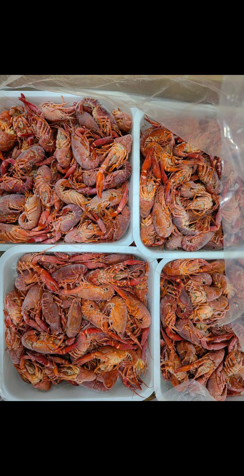 2025白沙洲小龙虾价格会涨还是跌?-图1 2025白沙洲小龙虾价格会涨还是跌?-图1