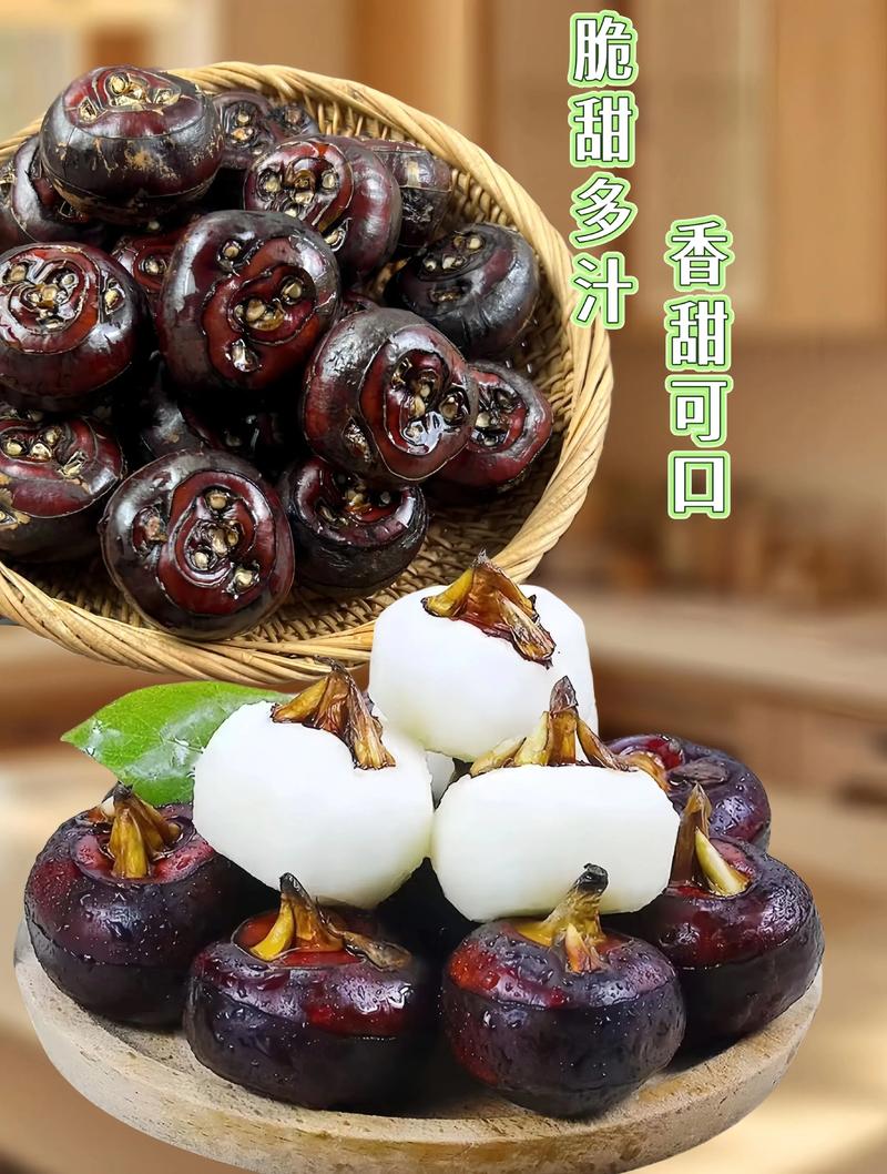 广西2025马蹄收购价会涨还是跌？-图1