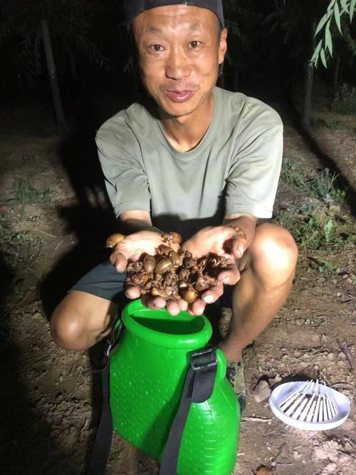 知了猴养殖是骗局吗？技术真伪如何辨别？-图3