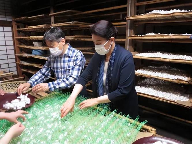 日本养蚕技术视频有哪些精华值得学？-图1