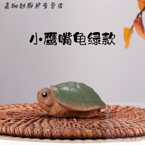 鹰嘴龟2025年价格会涨还是跌？-图3