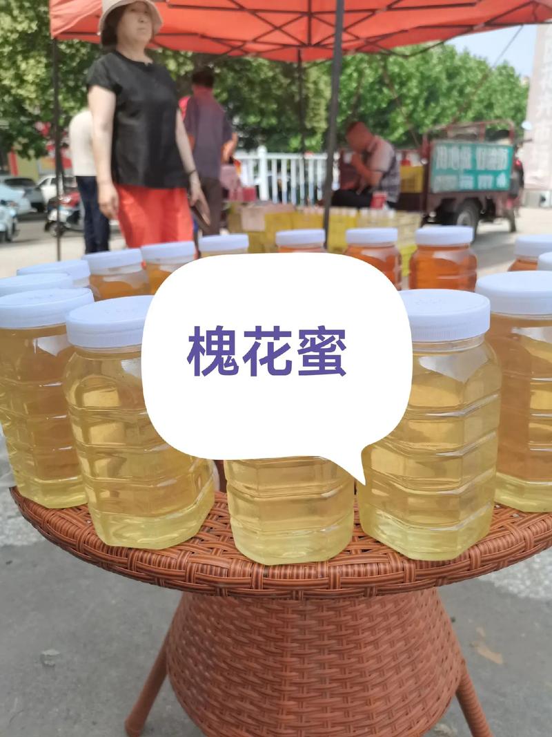 广东意蜂品种选哪种好？-图1
